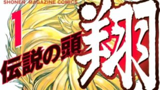 【ネタバレ注意】漫画「伝説の頭 翔」あらすじ全編、最終回解説！登場人物も一覧でまとめてみました。 